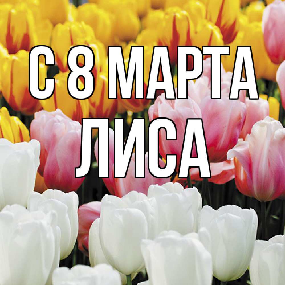 Открытка на каждый день с именем, лиса C 8 МАРТА разноцветные цветы Прикольная открытка с пожеланием онлайн скачать бесплатно 