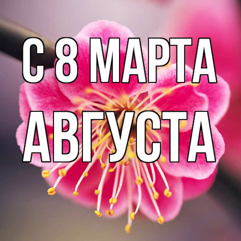 Картинка C 8 МАРТА, Августа