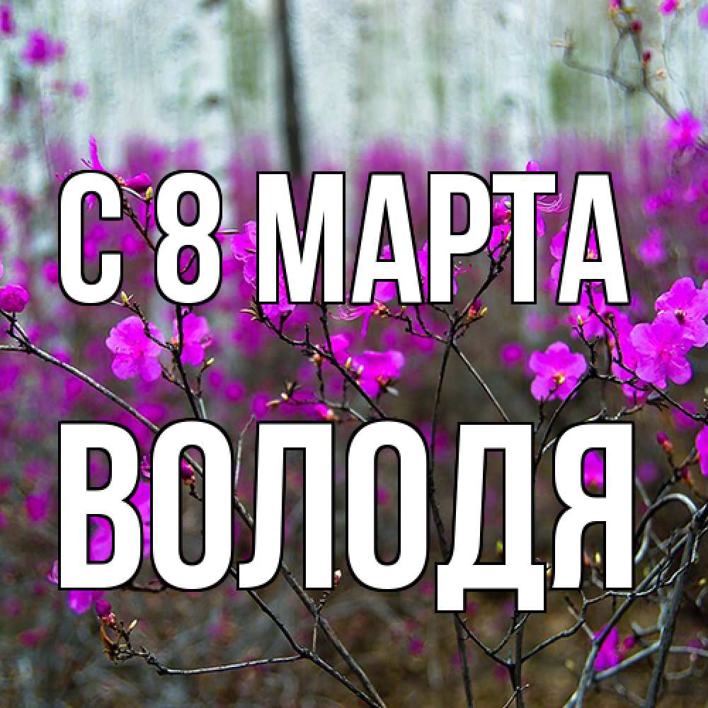 Открытка на каждый день с именем, Володя C 8 МАРТА дикие цветы Прикольная открытка с пожеланием онлайн скачать бесплатно 