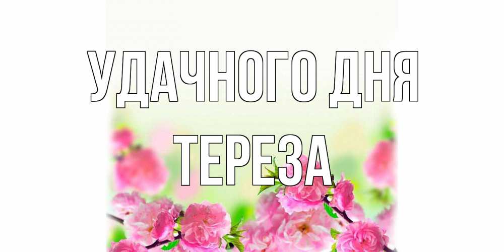 Открытка на каждый день с именем, Тереза Удачного дня цветы Прикольная открытка с пожеланием онлайн скачать бесплатно 
