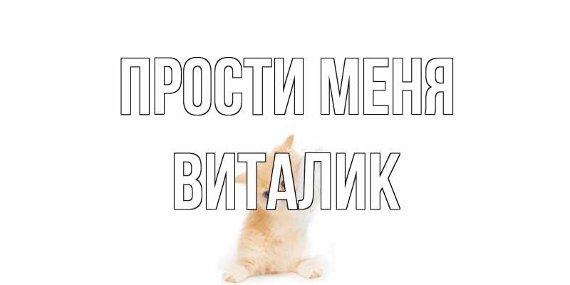 Открытка с именем, Виталик, Прости меня