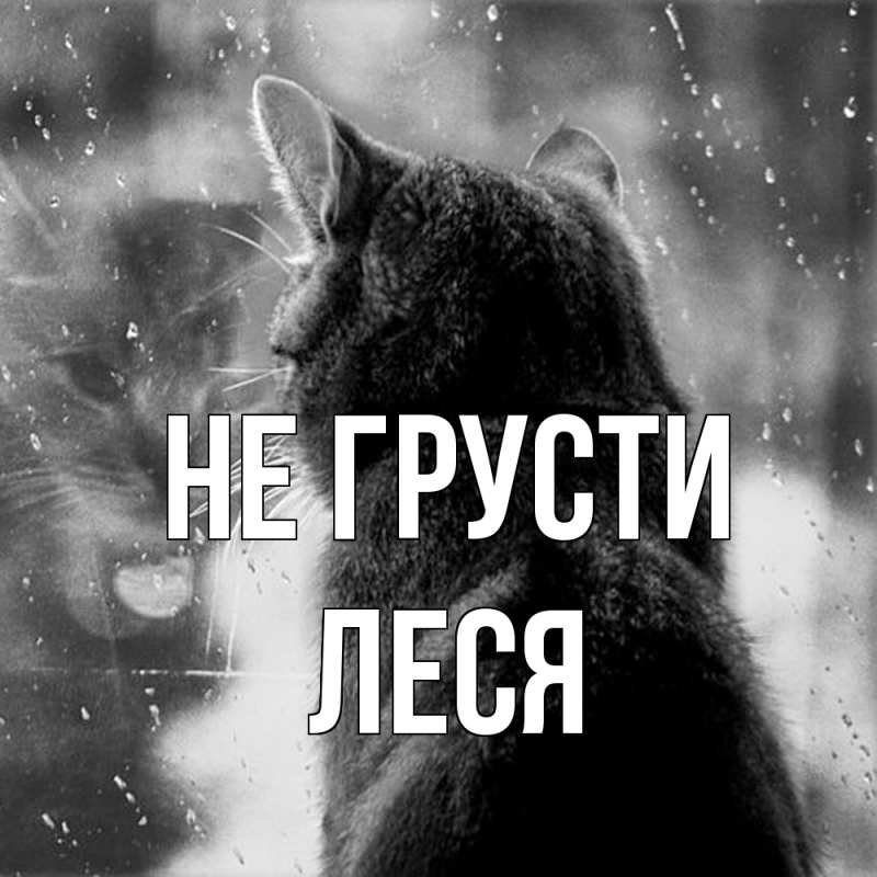 Картинка Не грусти, Леся