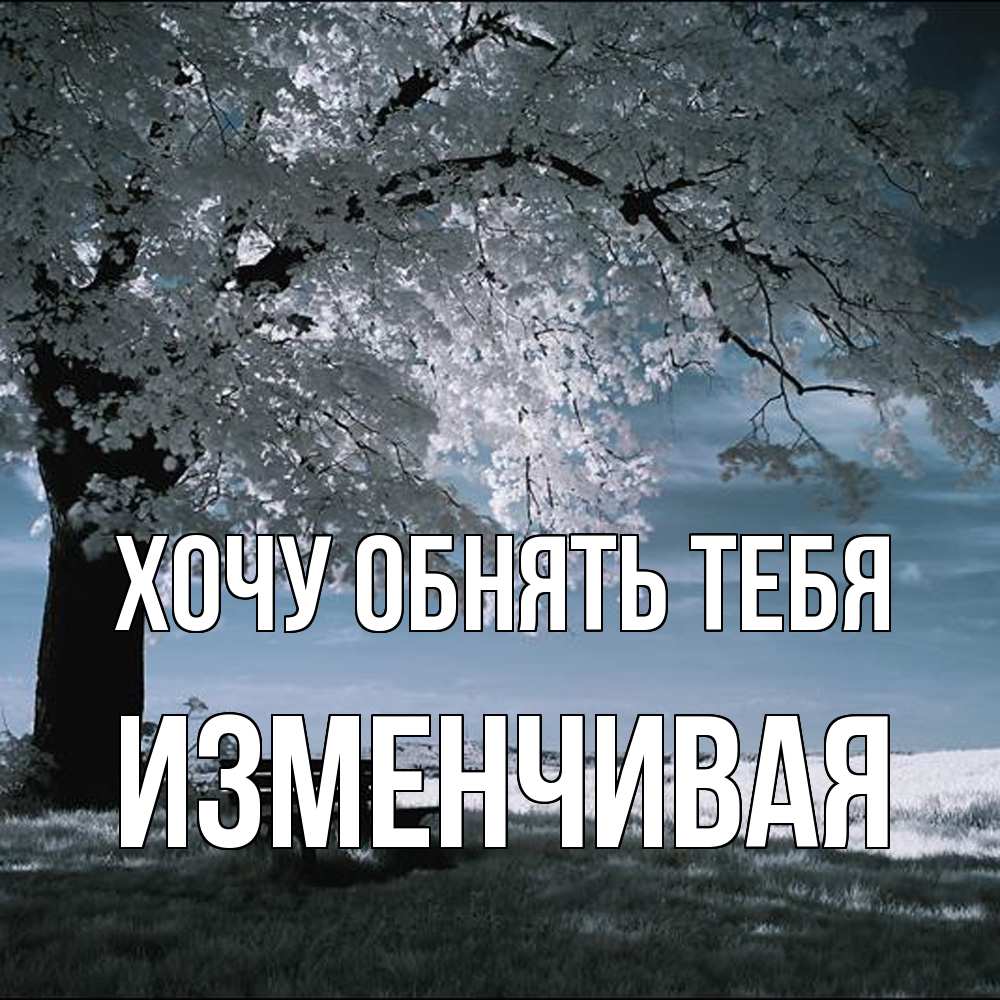 Открытка на каждый день с именем, изменчивая Хочу обнять тебя дерево Прикольная открытка с пожеланием онлайн скачать бесплатно 