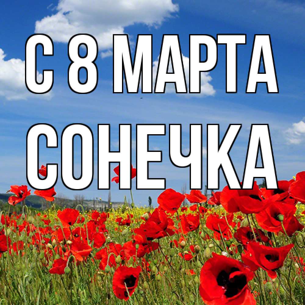 Открытка на каждый день с именем, Сонечка C 8 МАРТА международный женский день 1 Прикольная открытка с пожеланием онлайн скачать бесплатно 