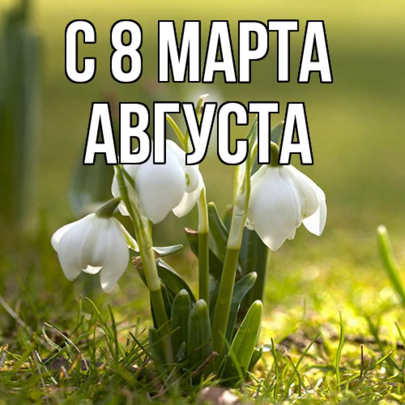 Картинка C 8 МАРТА, Августа