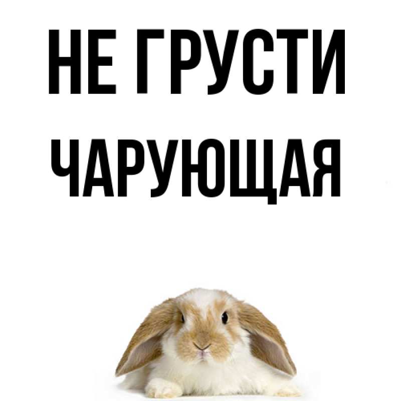 Картинка Не грусти, Чаpующая