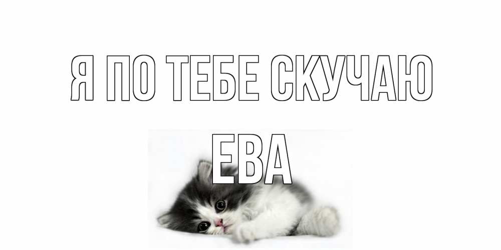 Открытка на каждый день с именем, Ева Я по тебе скучаю кот, скука Прикольная открытка с пожеланием онлайн скачать бесплатно 
