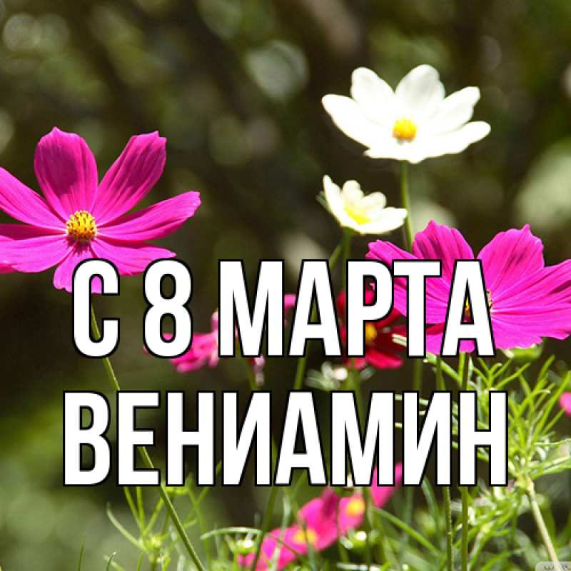Открытка с именем, Вениамин, C 8 МАРТА