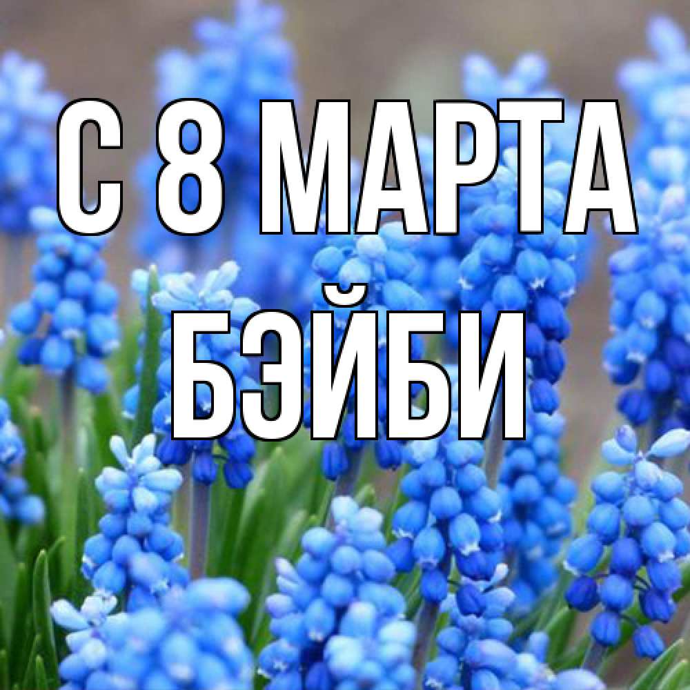 Открытка на каждый день с именем, бэйби C 8 МАРТА Поздравительная открытка для женщин с цветами на праздничную дату Прикольная открытка с пожеланием онлайн скачать бесплатно 