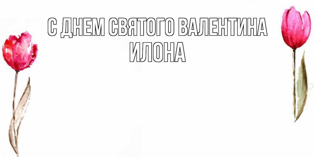 Открытка на каждый день с именем, Илона С днем Святого Валентина Открытки на день всех влюбленных с тюльпанами акварелью Прикольная открытка с пожеланием онлайн скачать бесплатно 