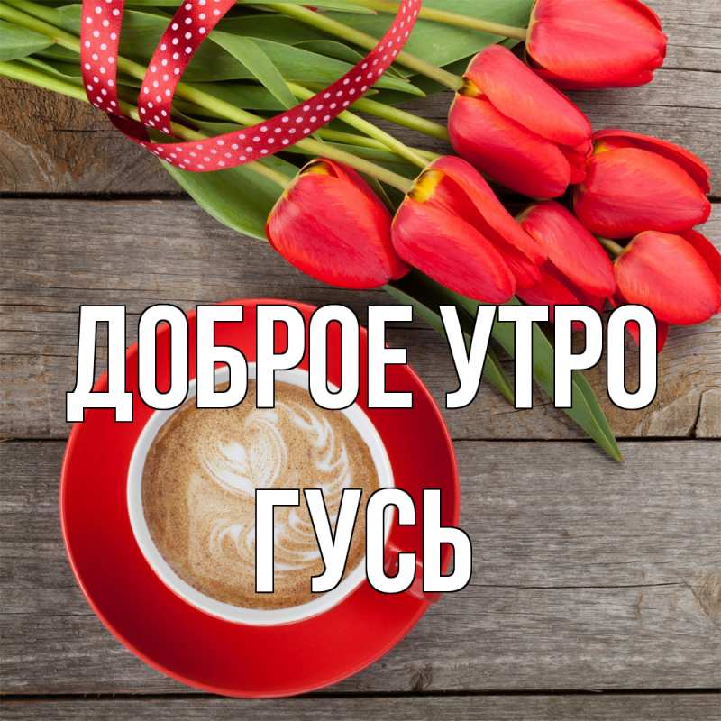 Картинка Доброе утро, Гусь