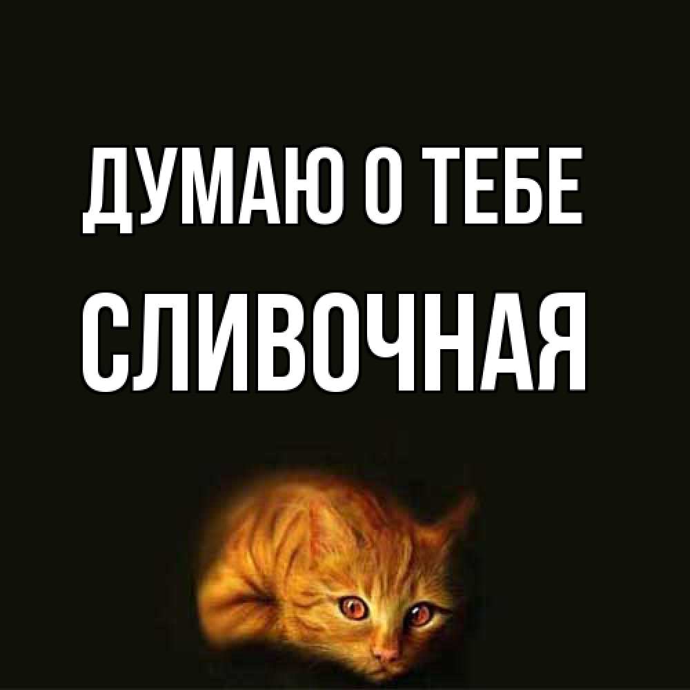 Открытка на каждый день с именем, Сливочная Думаю о тебе рыжий Прикольная открытка с пожеланием онлайн скачать бесплатно 