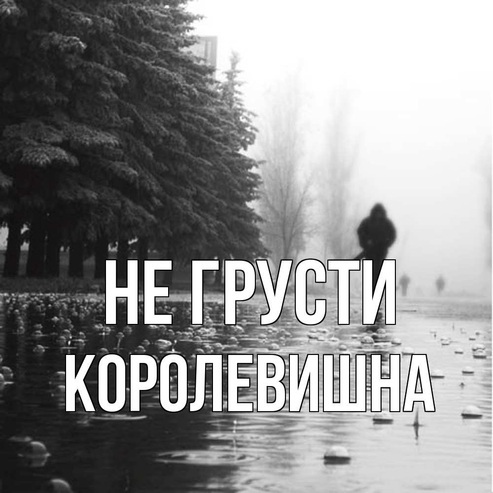Открытка на каждый день с именем, Королевишна Не грусти улица под дождем Прикольная открытка с пожеланием онлайн скачать бесплатно 