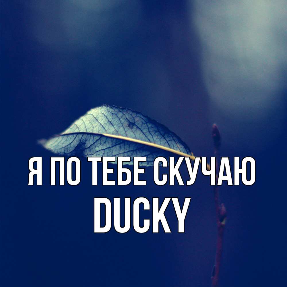 Открытка на каждый день с именем, Ducky Я по тебе скучаю одна ветка 1 Прикольная открытка с пожеланием онлайн скачать бесплатно 
