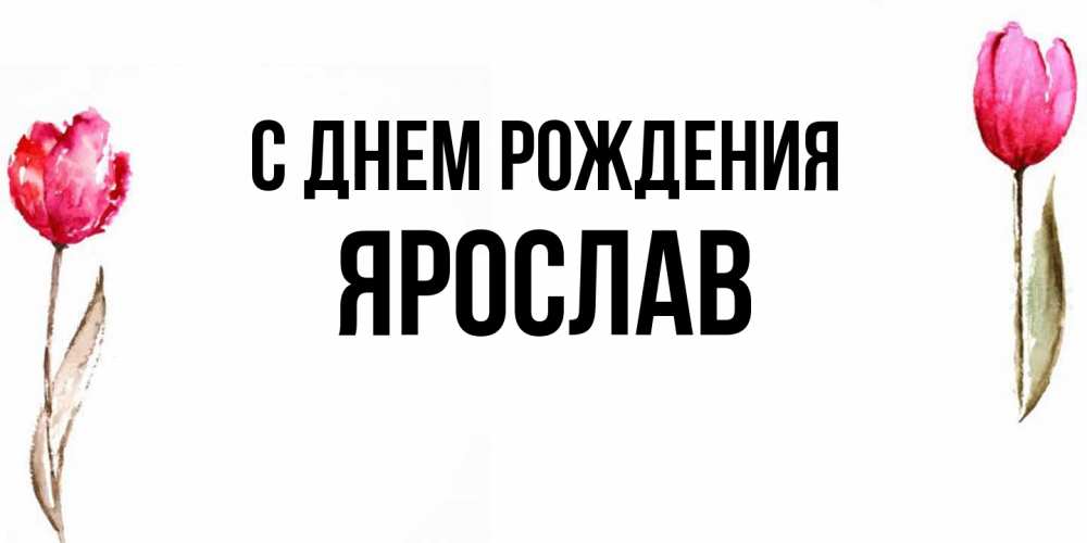 Открытка на каждый день с именем, Ярослав С днем рождения открытки акварелью с цветами Прикольная открытка с пожеланием онлайн скачать бесплатно 