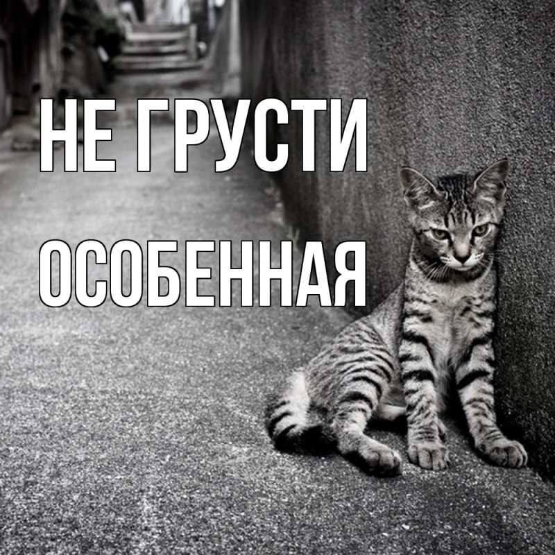 Картинка Не грусти, Особенная