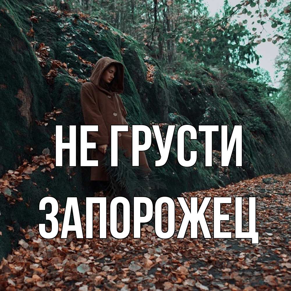 Открытка на каждый день с именем, Запорожец Не грусти осенний лес Прикольная открытка с пожеланием онлайн скачать бесплатно 