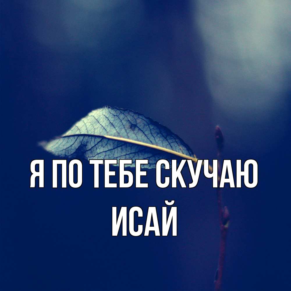 Открытка на каждый день с именем, Исай Я по тебе скучаю одна ветка 1 Прикольная открытка с пожеланием онлайн скачать бесплатно 
