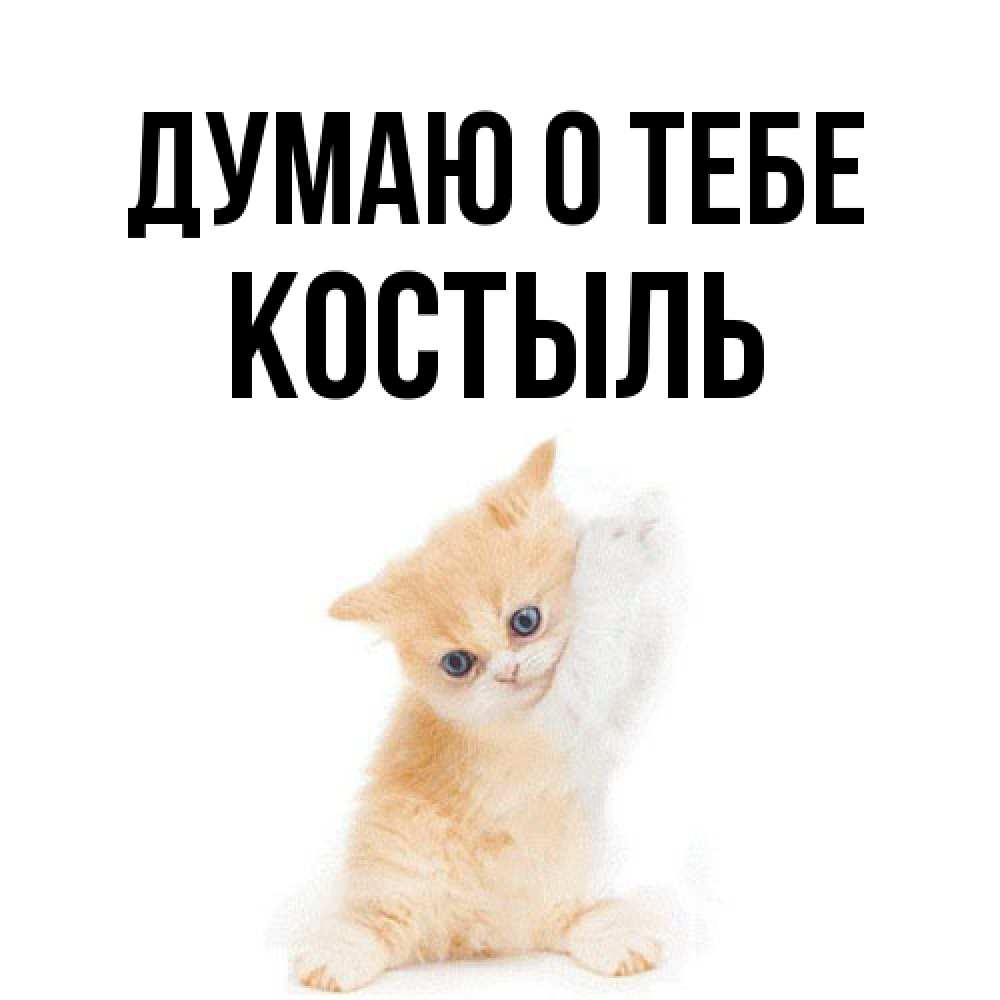 Открытка на каждый день с именем, Костыль Думаю о тебе зверушки и милота Прикольная открытка с пожеланием онлайн скачать бесплатно 