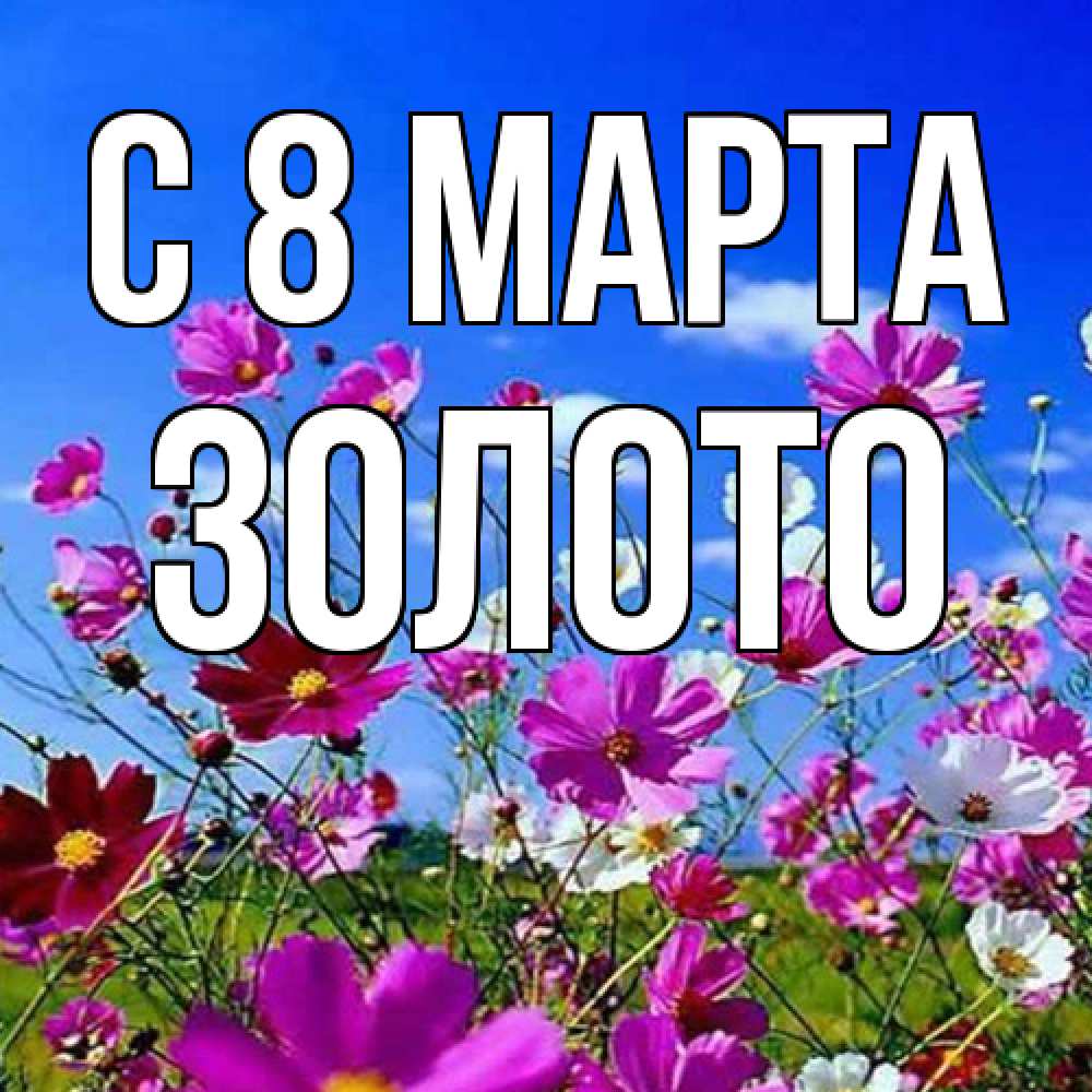 Открытка на каждый день с именем, Золото C 8 МАРТА цветы Прикольная открытка с пожеланием онлайн скачать бесплатно 