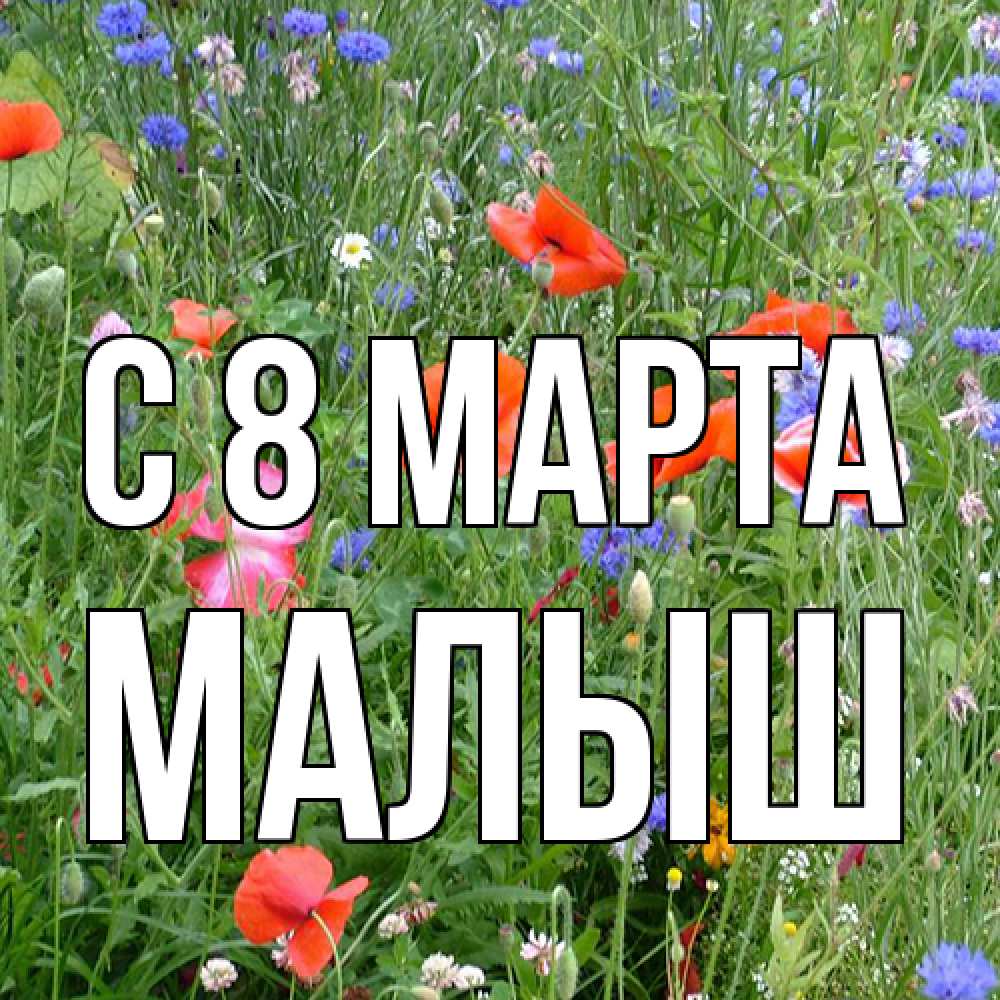 Открытка на каждый день с именем, Малыш C 8 МАРТА международный женский день 4 Прикольная открытка с пожеланием онлайн скачать бесплатно 