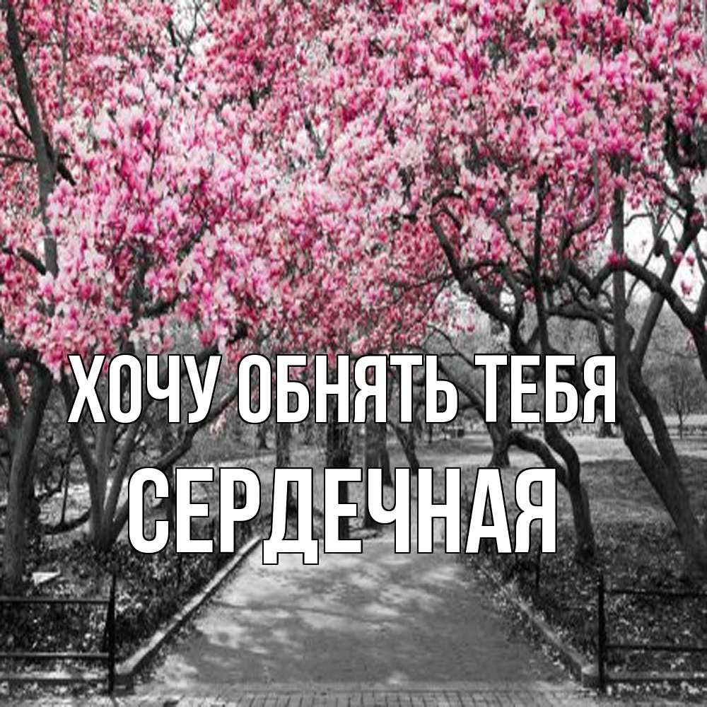 Открытка на каждый день с именем, Сеpдечная Хочу обнять тебя обработанное фото Прикольная открытка с пожеланием онлайн скачать бесплатно 