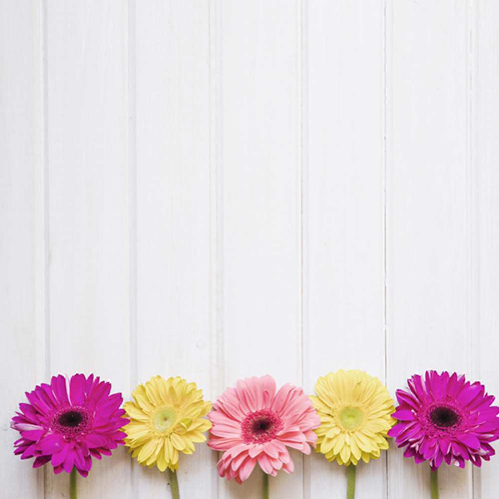 Открытка на каждый день с именем, Гусь C 8 МАРТА женщинам 1 Прикольная открытка с пожеланием онлайн скачать бесплатно 