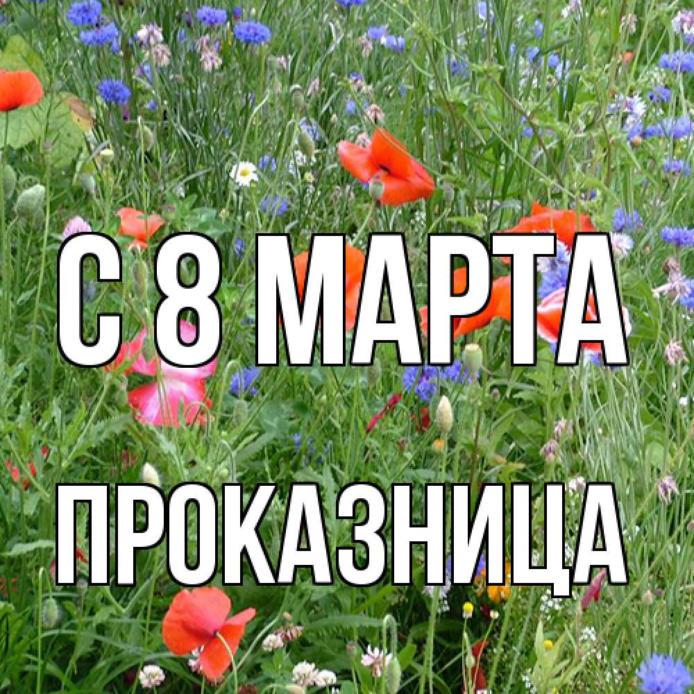Открытка на каждый день с именем, Проказница C 8 МАРТА международный женский день 4 Прикольная открытка с пожеланием онлайн скачать бесплатно 