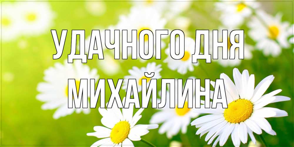 Открытка на каждый день с именем, Михайлина Удачного дня открытка с ромашками на зеленом фоне Прикольная открытка с пожеланием онлайн скачать бесплатно 