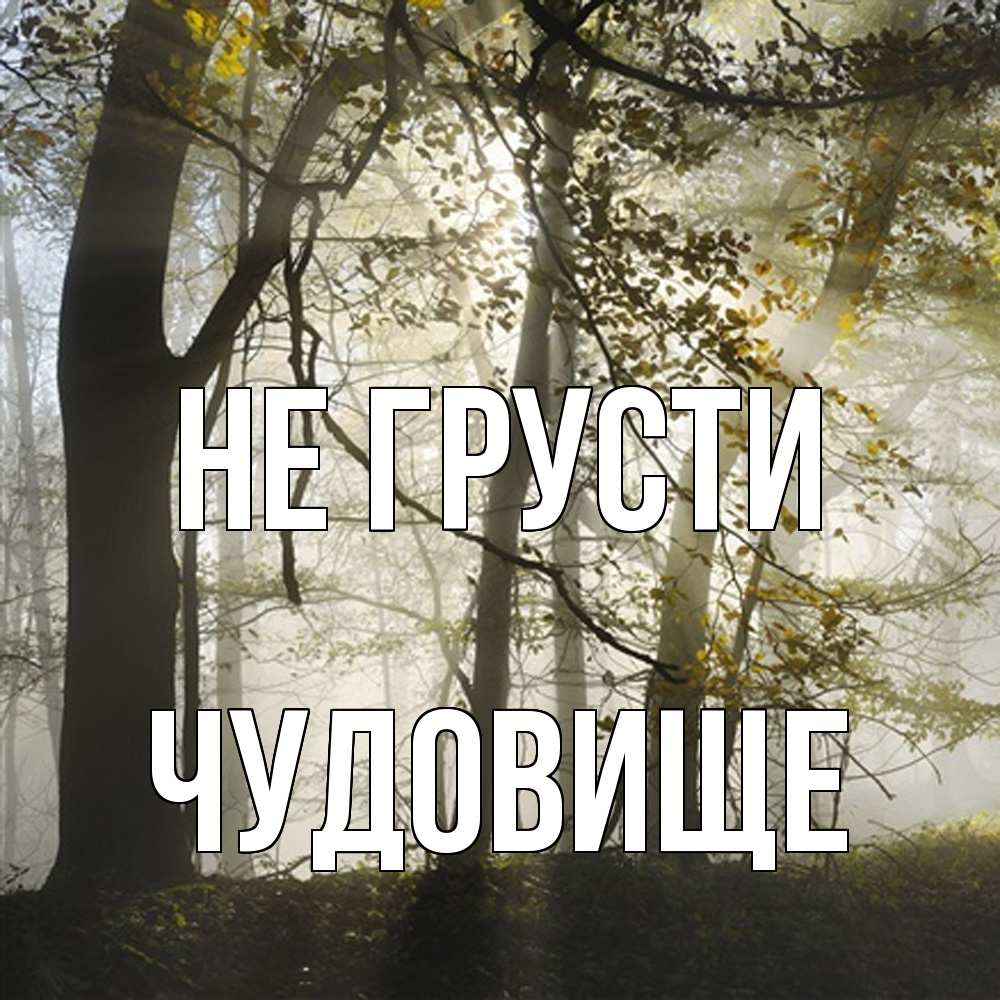 Открытка на каждый день с именем, Чудовище Не грусти лес и свет Прикольная открытка с пожеланием онлайн скачать бесплатно 