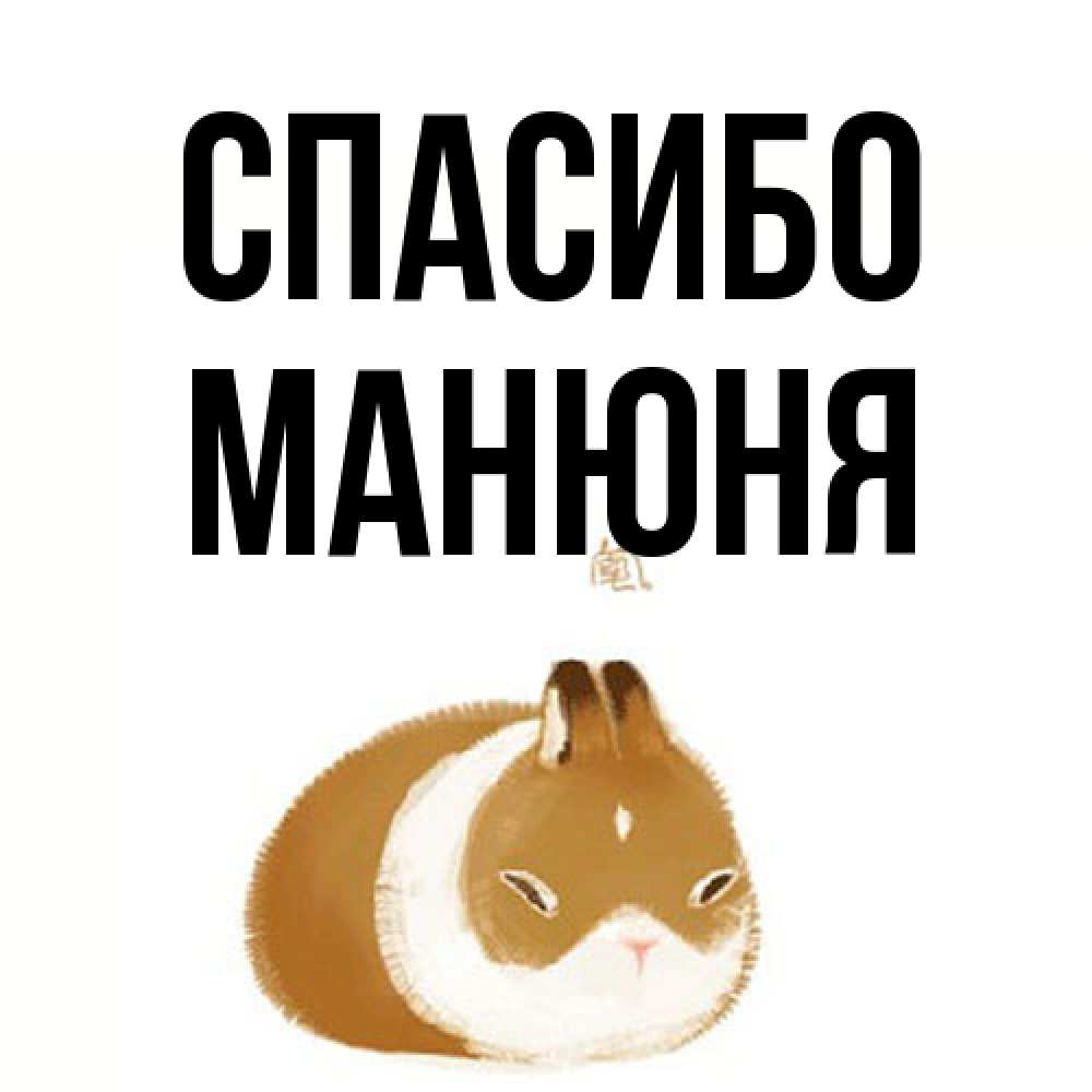 Открытка на каждый день с именем, Манюня Спасибо коричнево белый домашний питомец Прикольная открытка с пожеланием онлайн скачать бесплатно 