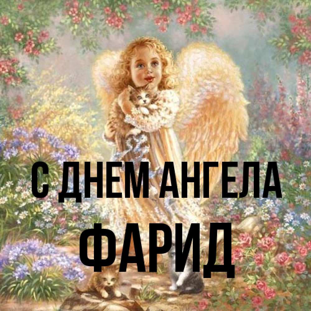 Открытка на каждый день с именем, Фарид С днем ангела держит котенка Прикольная открытка с пожеланием онлайн скачать бесплатно 