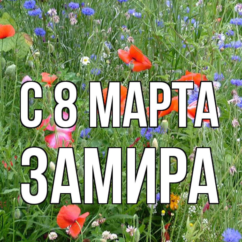 Открытка на каждый день с именем, Замира C 8 МАРТА международный женский день 4 Прикольная открытка с пожеланием онлайн скачать бесплатно 