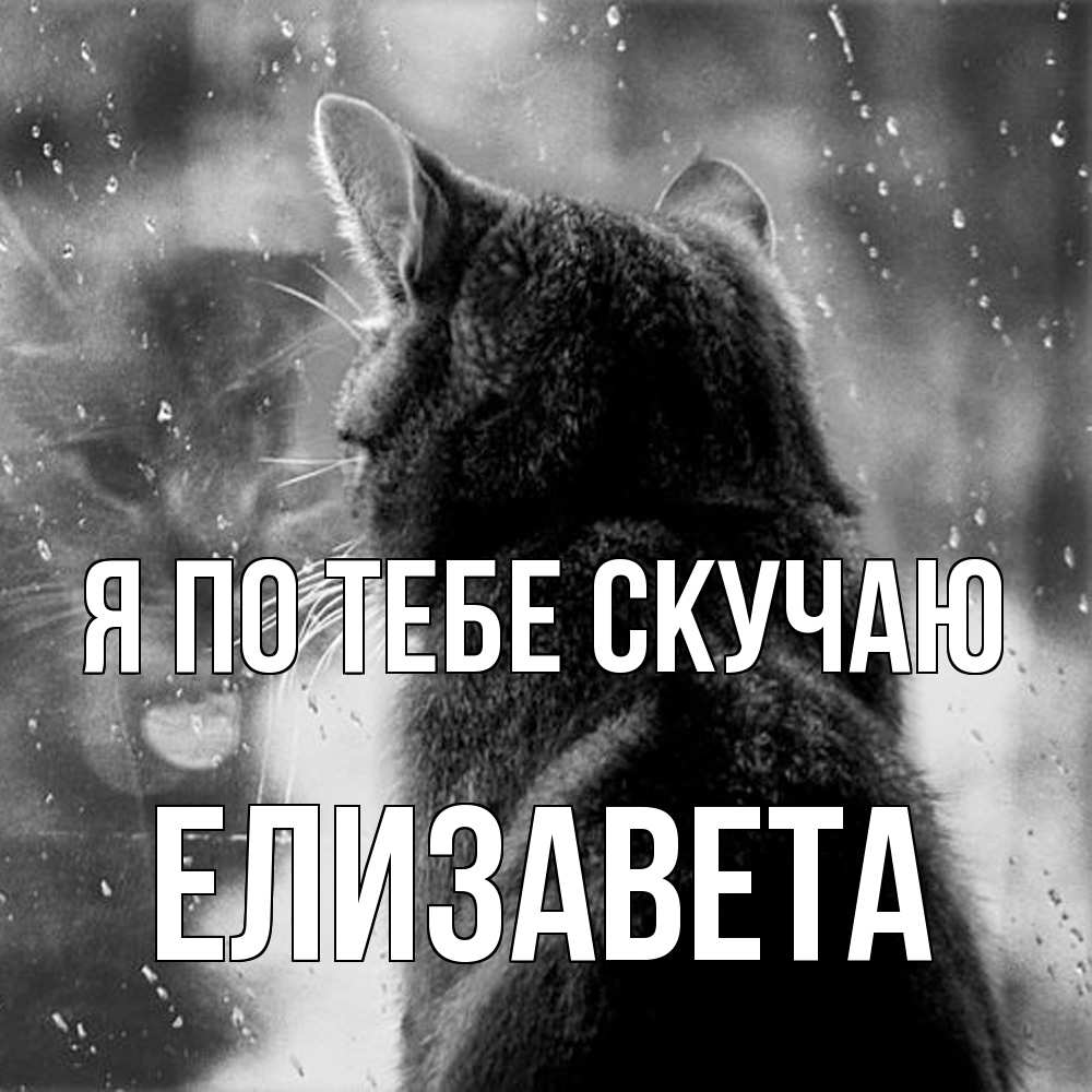 Открытка на каждый день с именем, Елизавета Я по тебе скучаю скорее ко мне приходи 1 Прикольная открытка с пожеланием онлайн скачать бесплатно 