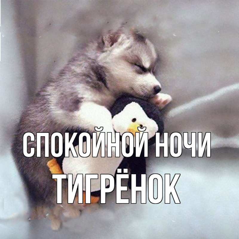 Картинка Спокойной ночи, Тигрёнок