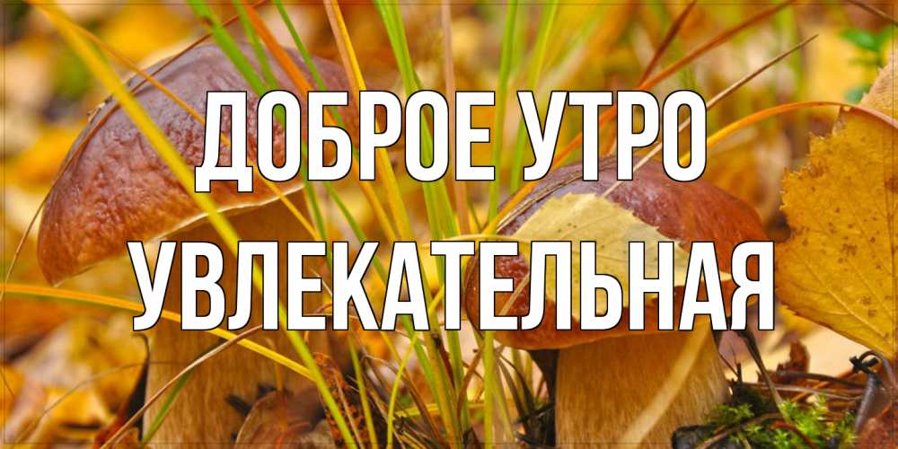 Открытка на каждый день с именем, Увлекательная Доброе утро осенние грибы Прикольная открытка с пожеланием онлайн скачать бесплатно 