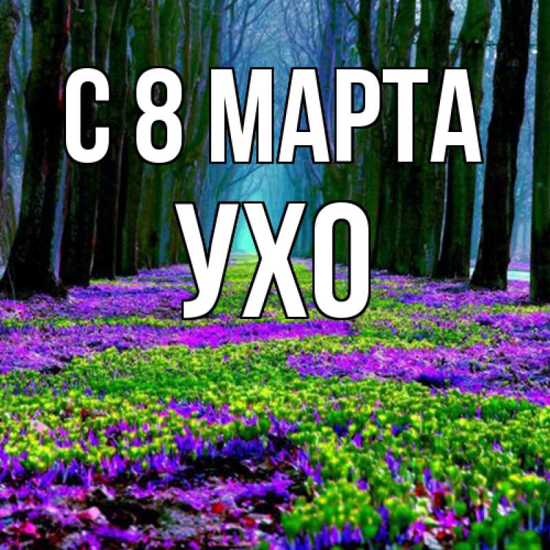 Картинка C 8 МАРТА, Ухо