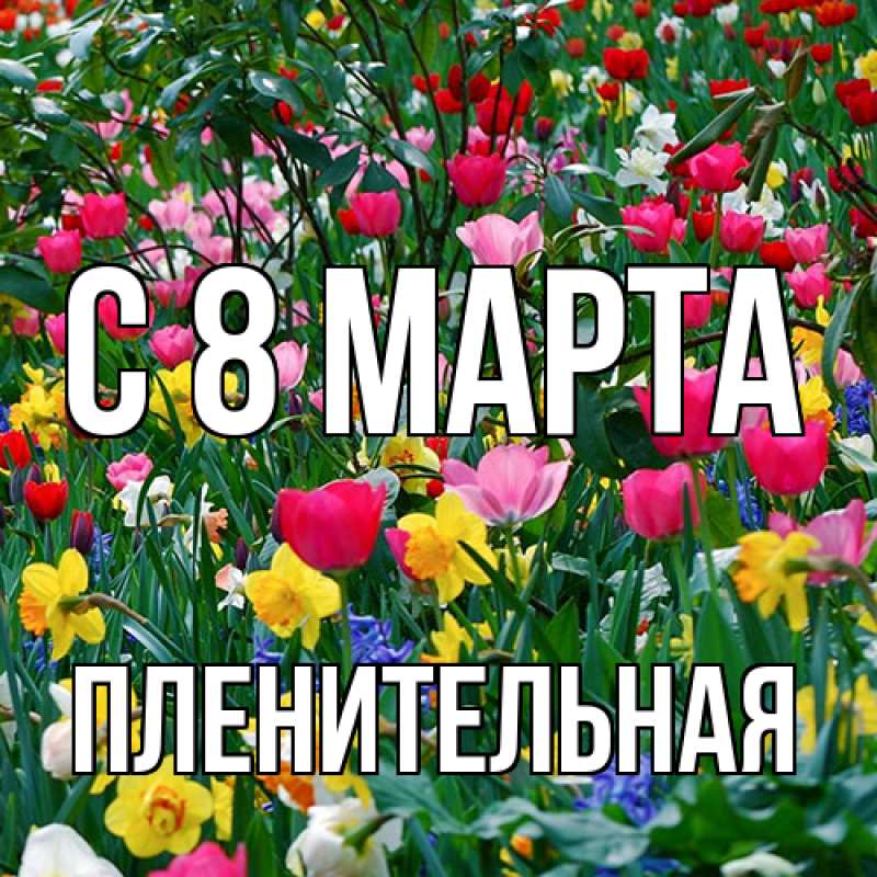 Картинка C 8 МАРТА, пленительная