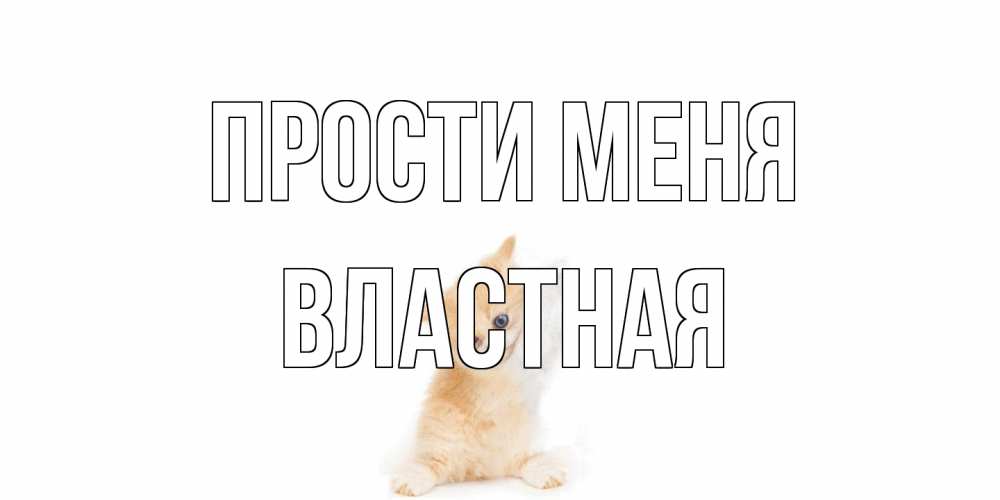 Открытка на каждый день с именем, властная Прости меня кот Прикольная открытка с пожеланием онлайн скачать бесплатно 