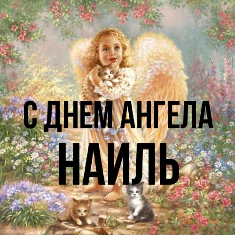 Картинка С днем ангела, Наиль
