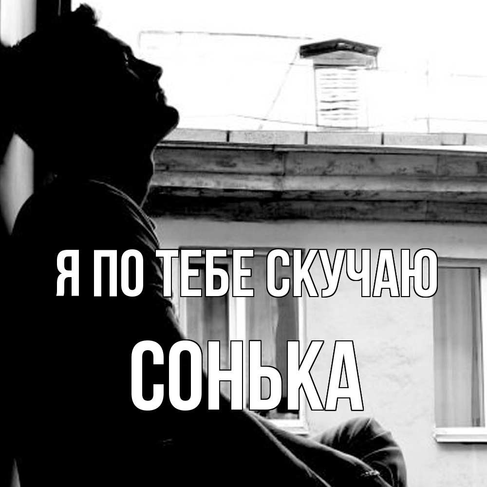 Открытка на каждый день с именем, Сонька Я по тебе скучаю скучно ему Прикольная открытка с пожеланием онлайн скачать бесплатно 