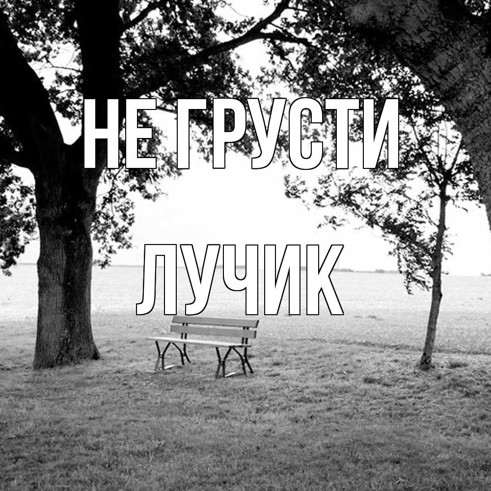 Открытка на каждый день с именем, Лучик Не грусти мощное дерево Прикольная открытка с пожеланием онлайн скачать бесплатно 