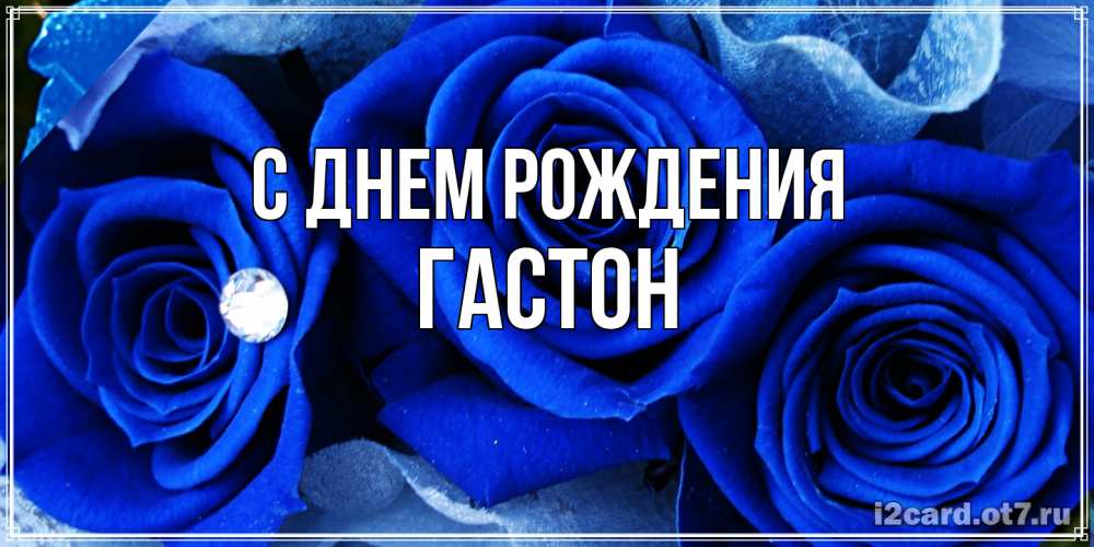 Открытка на каждый день с именем, Гастон С днем рождения синие розы в росе Прикольная открытка с пожеланием онлайн скачать бесплатно 