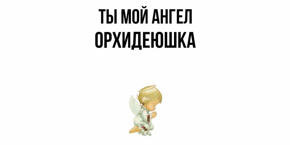 Открытка на каждый день с именем, Орхидеюшка Ты мой ангел ангел Прикольная открытка с пожеланием онлайн скачать бесплатно 