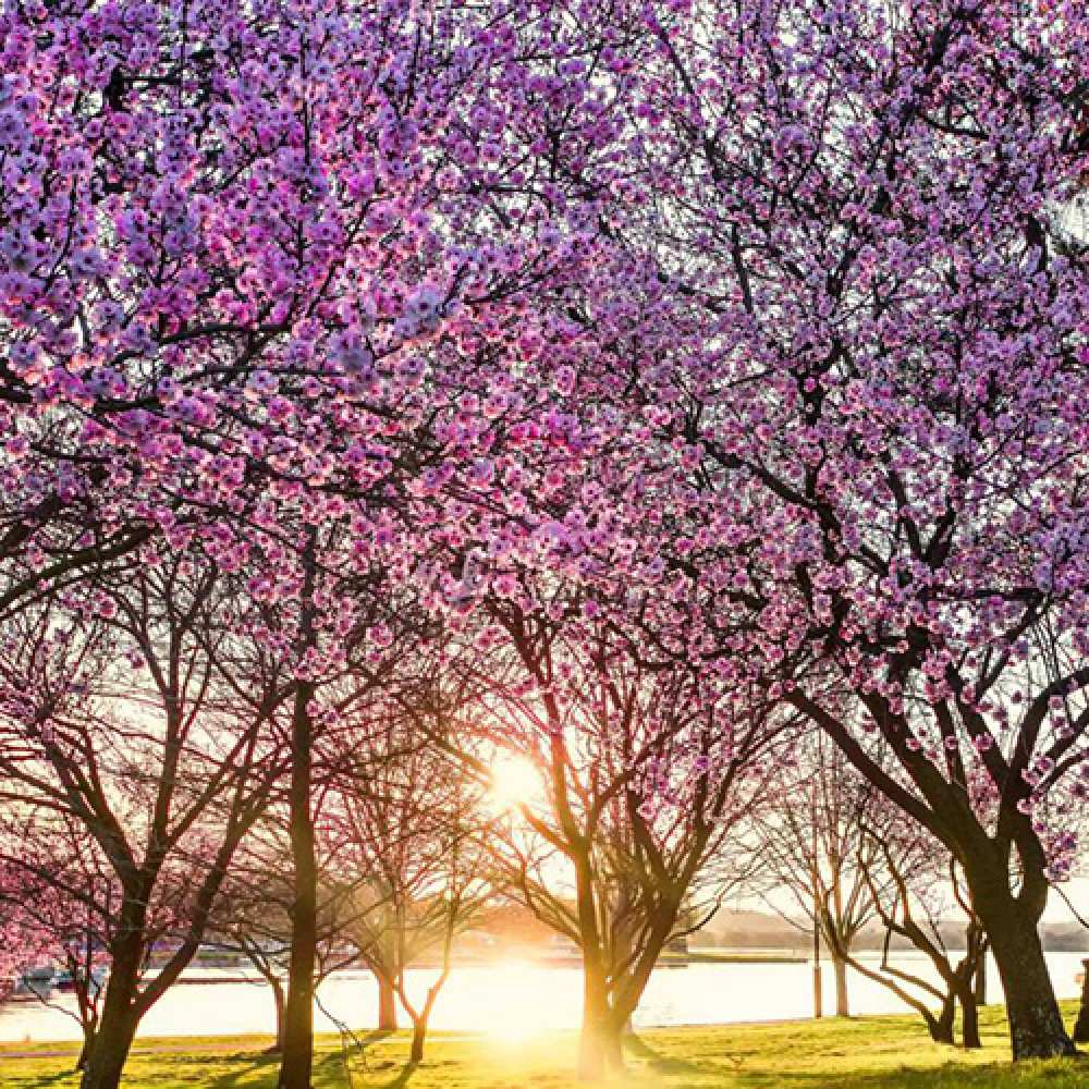 Открытка на каждый день с именем, дикая C 8 МАРТА международный женский день Прикольная открытка с пожеланием онлайн скачать бесплатно 