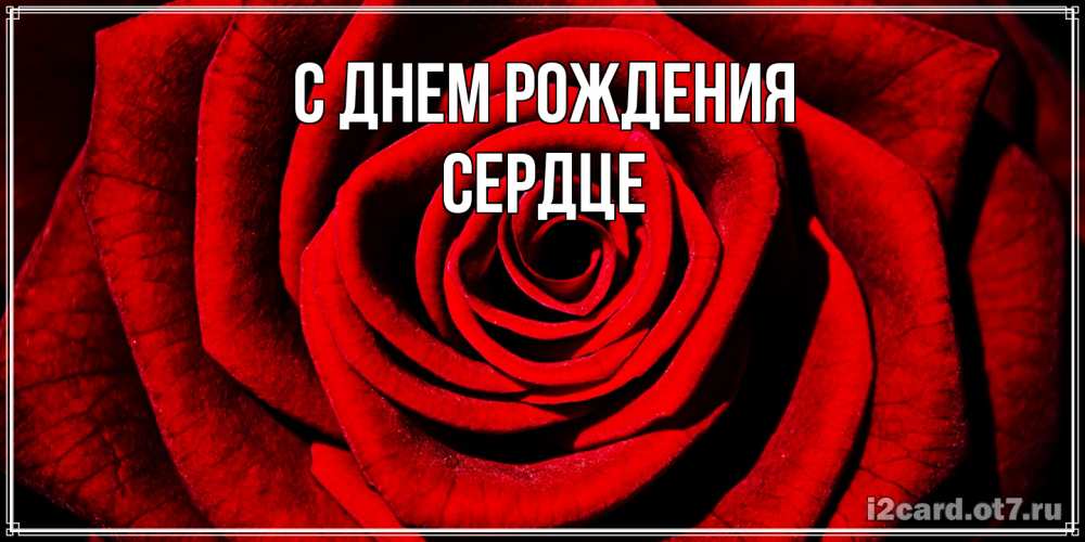 Открытка на каждый день с именем, сердце С днем рождения алая роза Прикольная открытка с пожеланием онлайн скачать бесплатно 