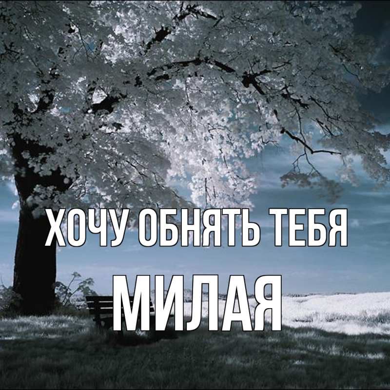 Картинка Хочу обнять тебя, Милая