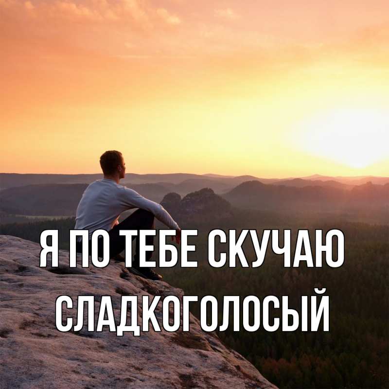 Картинка Я по тебе скучаю, Сладкоголосый
