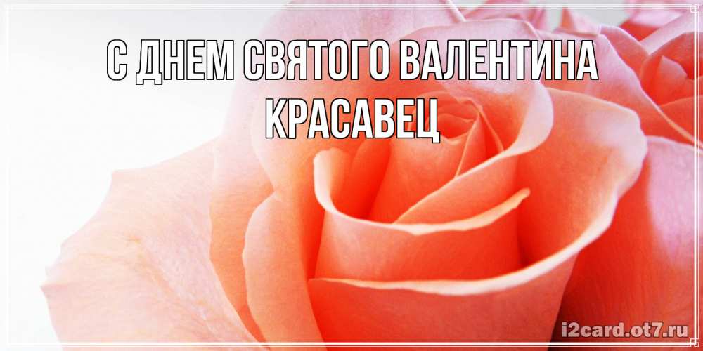 Открытка на каждый день с именем, Красавец С днем Святого Валентина открытка на день Святого Валентина с розовой розой Прикольная открытка с пожеланием онлайн скачать бесплатно 