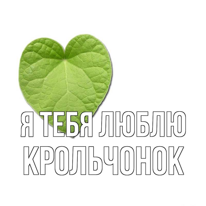 Картинка Я тебя люблю, Крольчонок